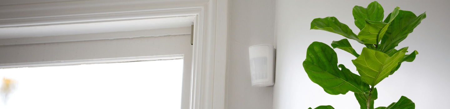 How Do Motion Sensors Work and What Can They Be Used For?